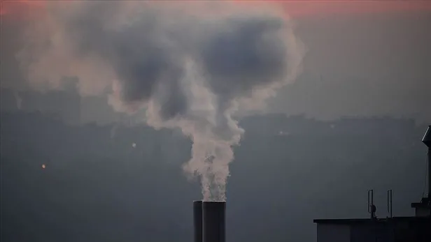 Harvard Üniversitesi'nden çarpıcı araştırma! Dünya genelinde her 5 ölümden birinin nedenine şaşıracaksınız-2