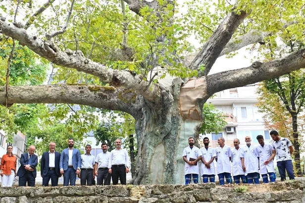 asirlik-cinarlar-cinar-hekimleri-ile-guvende-1660550906207.jpeg Asırlık çınarlar, ‘Çınar hekimleri’ ile güvende-2