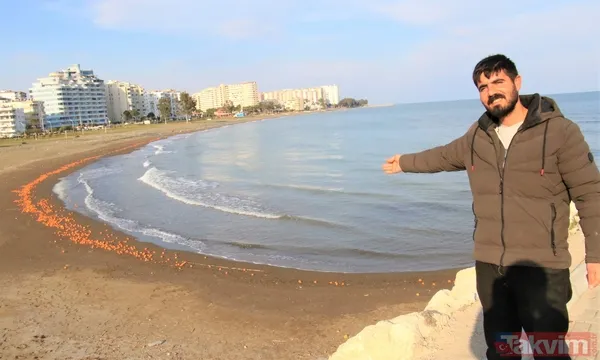 Mersin'de ilginç manzara! Sahile balık değil binlerce portakal vurdu - 8