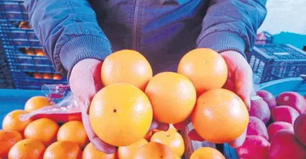 Adana'da mandalina bahçede 3 TL, markette 45 TL