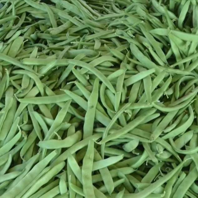 Taze fasulye zam şampiyonu