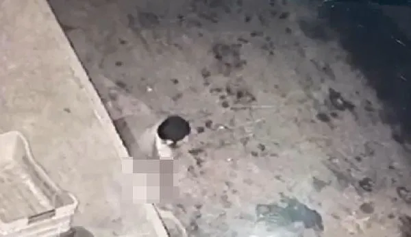 SON DAKİKA: Sakarya'da iğrenç olay: Köpeğe taciz güvenlik kamerasında-2