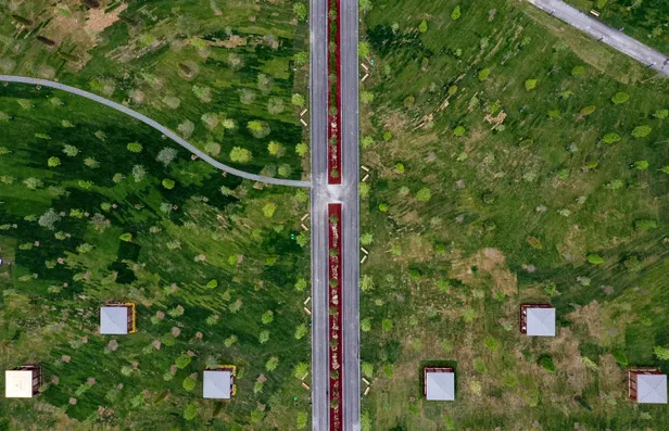 Başkan Erdoğan hizmete aldı: Atatürk Havalimanı Millet Bahçesi'nin ilk etabı açıldı! 10 bin 81 ağaç 41 bin bitki dikildi-9