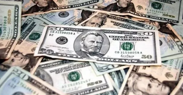Dolar ve euro ne kadar oldu?
