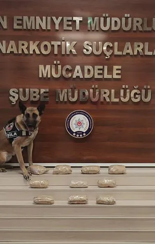 Van'da zehir tacirlerine operasyon