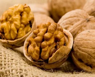 Ceviz yiyin  güçlenin