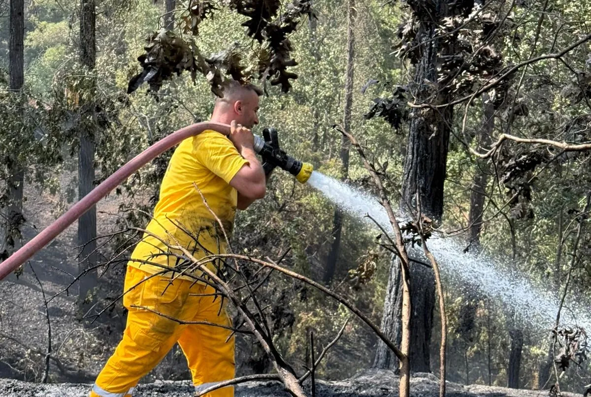 Ankara’da bakanların yeşil vatan mesaisi!