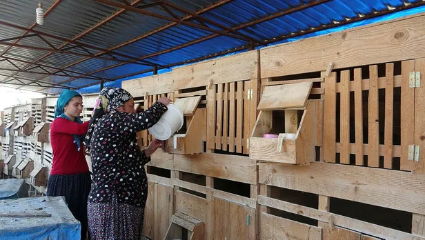 Ayda 30 bin lira kazandıran meslek! Araba fiyatına satıyorlar!-4