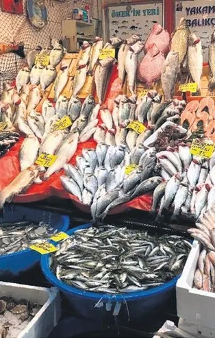 Av sezonu başladı, tezgahlardaki yüksek fiyatlar dikkat çekti!