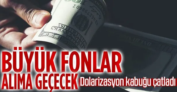 Dolarizasyon kabuğu Pazartesi günü çatladı