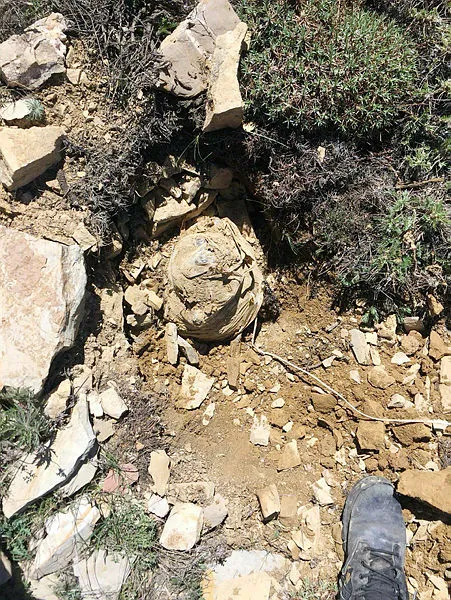 Tunceli'de PKK'ya büyük darbe-3