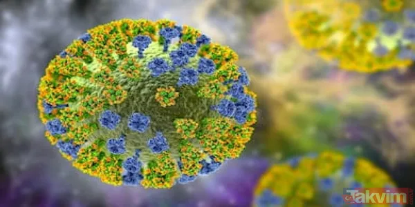 Maymun çiçeği nedir? Belirtileri neler? Çiçek aşısı Maymun çiçeğinden korur mu? Türkiye’de vaka görüldü mü? Sağlık Bakanlığı açıkladı - 5