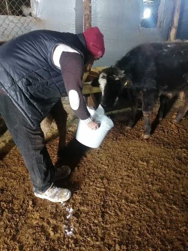 mansur-yavasa-isyan-ne-su-var-ne-yol-sutten-kesildim-babamin-cenazesine-gidemedim-1640337428788.jpg Mansur Yavaş'a isyan: Ne su var ne yol! 'Sütten kesildim babamın cenazesine gidemedim'-5