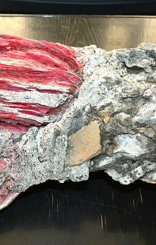 Yüzerken buldu! Sudan çıkarınca gözlerine inanamadı