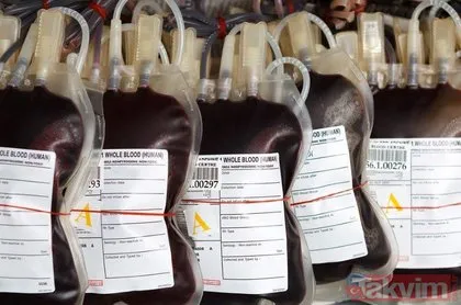 Bu kan grubundakiler hayata önde başlıyor! İşte kan grubunuzla ilgili bilmeniz gerekenler