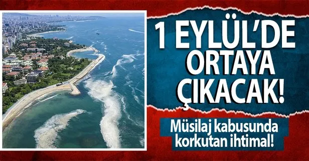 Müsilajın etkisi 1 Eylül'de ortaya çıkacak!