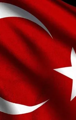 43 üründe millileşme hareketi