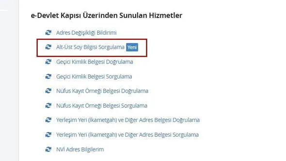 e-Devlet'te tek tıkla soyağacını bulma dönemi-3