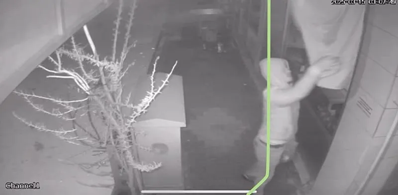 Türk bayrağını yerinden koparan şüpheli kamerada (DHA)