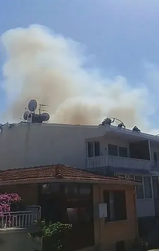 Büyükada'da yangın paniği