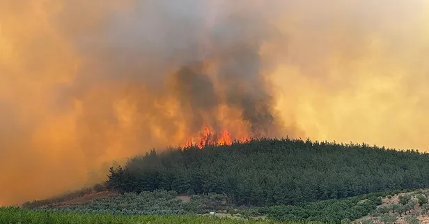 Bursa'dan güzel haber: Orman yangını kontrol altına alındı