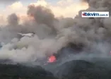 Hatay'da orman yangını
