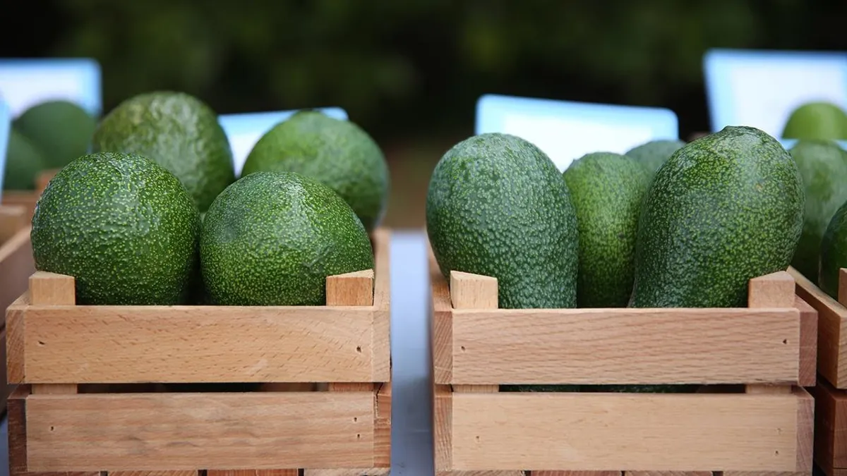Kolesterole avokado