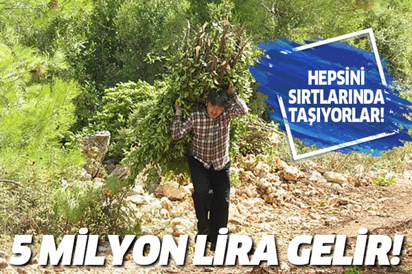 Avrupa'dan sipariş yağıyor! 5 milyon TL'lik gelir!-1