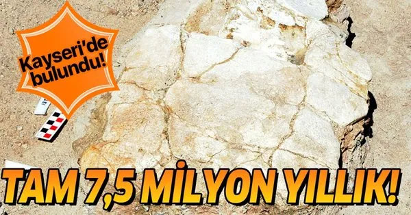 Kayseri De Bulundu Tam 7 5 Milyon Yillik Takvim
