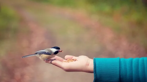prof-dr-nihat-hatipoglu-kaleme-aldi-sen-cennette-insanlar-ateste-mi-1650059680583.jpeg Prof. Dr. Nihat Hatipoğlu kaleme aldı: Sen cennette, insanlar ateşte mi?-4
