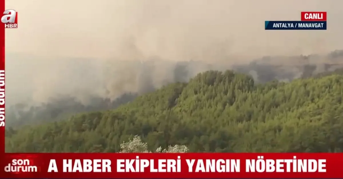 SON DAKİKA VİDEO: Türkiye'de orman yangınlarında son durum