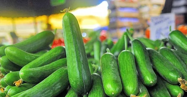 Salatalık aşkına! Faydaları saymakla bitmez