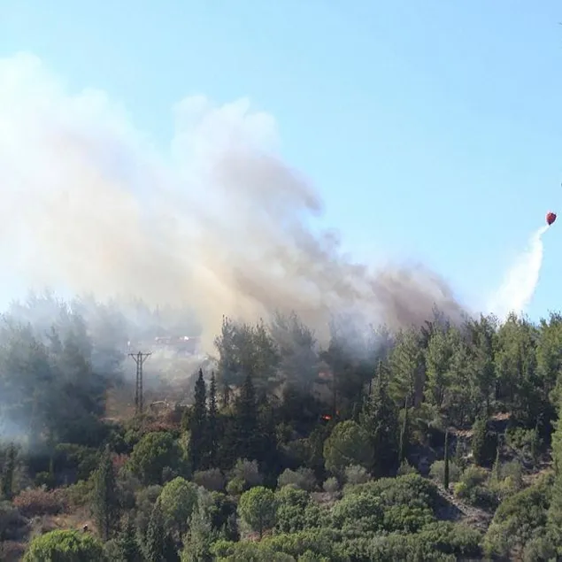 Gelibolu’daki yangın kontrol altına alındı