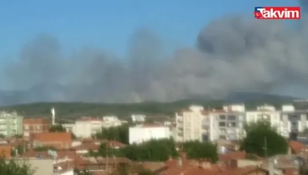 Manisa Akhisar'da orman yangını