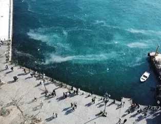 İstanbul Boğazı büyüklü küçüklü binlerce denizanasıyla beyaza büründü