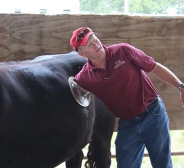 Birkaç litre fazla süt için ineklere yaptıklarına bak-7