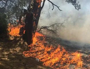 Antalya’da orman yangını