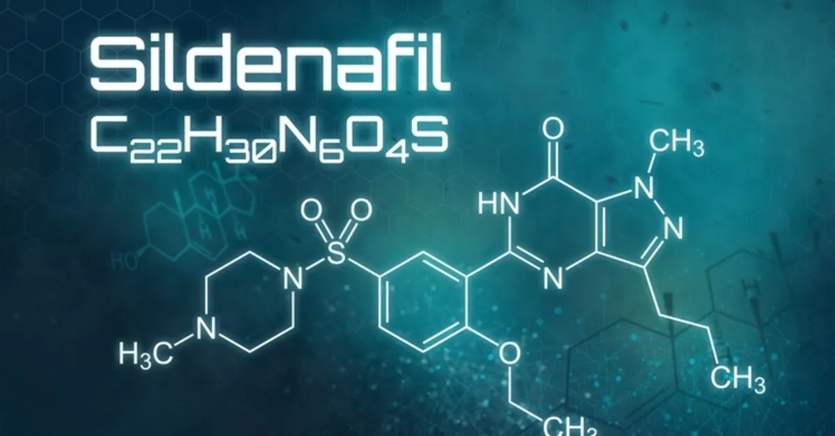 sigir penisi zydena fiyat