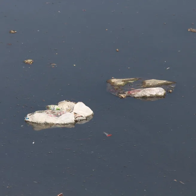 Değişmeyen yönetim değişmeyen manzara: Koku sezonu erken açıldı