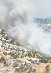 İzmir Dikili’de orman yangını | SON DURUM