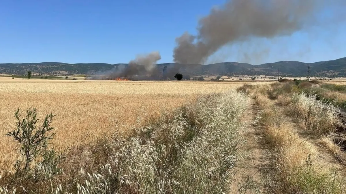 Yozgat'ta 20 dönüm ekili alan kül oldu