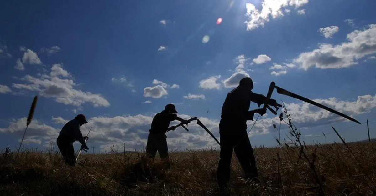 tarsim den ureticilere cagri bugday