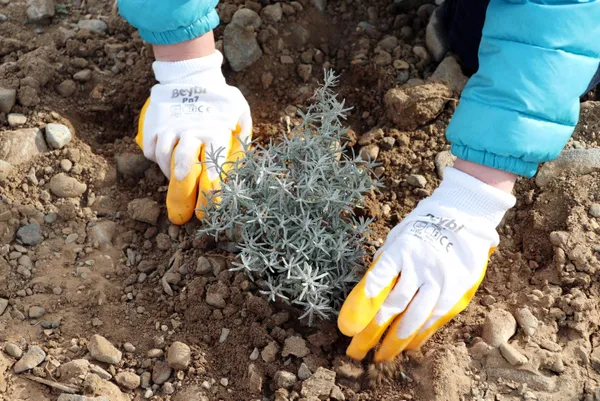 abdde-akademisyenligi-birakti-dr-aynur-ece-onur-burdurda-susuz-tarim-yapmaya-basladi-1616220458956.jpg ABD'de akademisyenliği bıraktı! Dr. Aynur Ece Onur Burdur'da susuz tarım yapmaya başladı-5