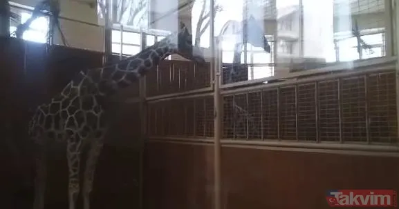 Buğday değil ölüm tarlası! Askerleri öldürüp servis ettiler! Rusya-Ukrayna savaşında çarpıcı kareler... - 32