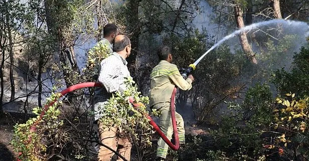 Hatay’da orman yangını: 153 araç, 523 personel bölgede! Valilikten flaş açıklama