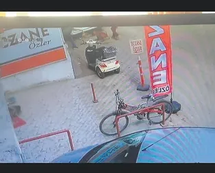 Bunu yapan insan olamaz! Adanada hamile kediyi pitbulla parçalattılar