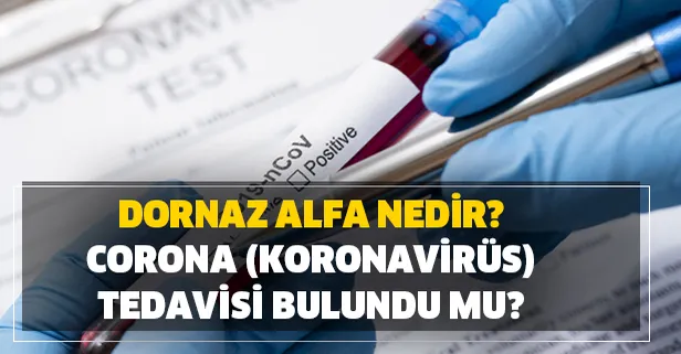 Gözler orada! Dornaz alfa, nedir, ne anlama geliyor? Corona (Koronavirüs) tedavisi bulundu mu?