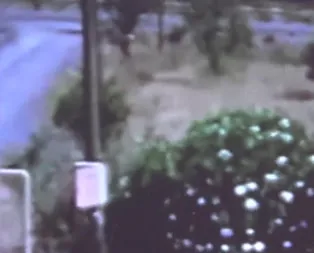Darbeci hain kadın kılığında kaçtı