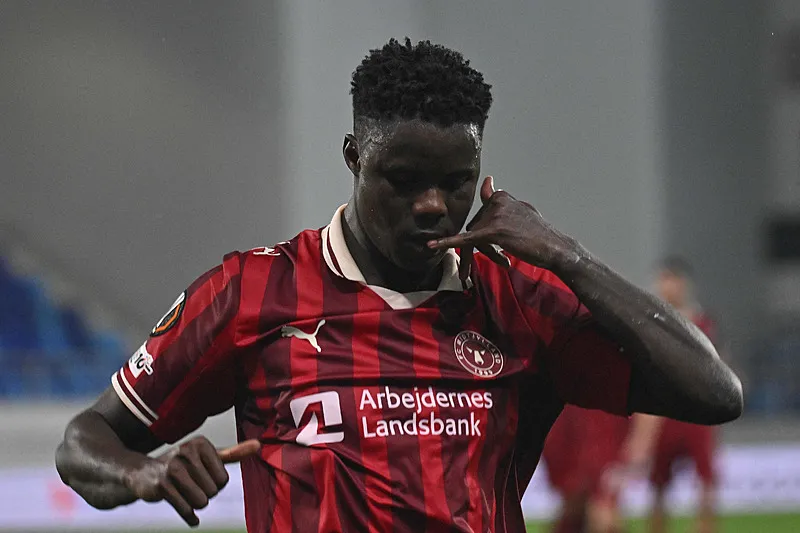 Fenerbahçe'ye buldozer gibi forvet! Transferde dev bomba - 13