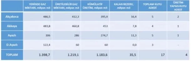 Sakarya'da bulunan rezerv dünyada yılın en büyük ikinci doğal gaz keşfi-1
